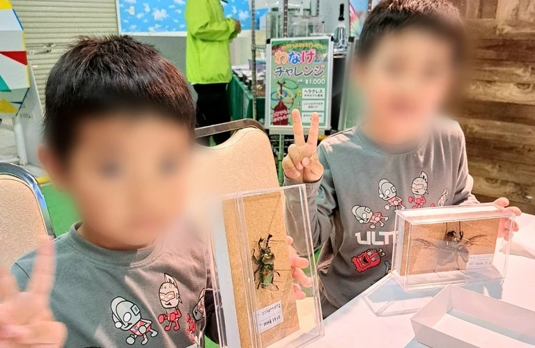 こどもでも作れる「超本格派」標本キットが誕生！苔丸インテリア