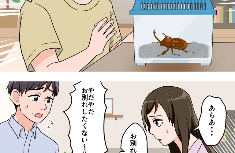 圧倒的インパクトの昆虫標本キット誕生！被らない自由研究で周りに差をつけよう！苔丸インテリア