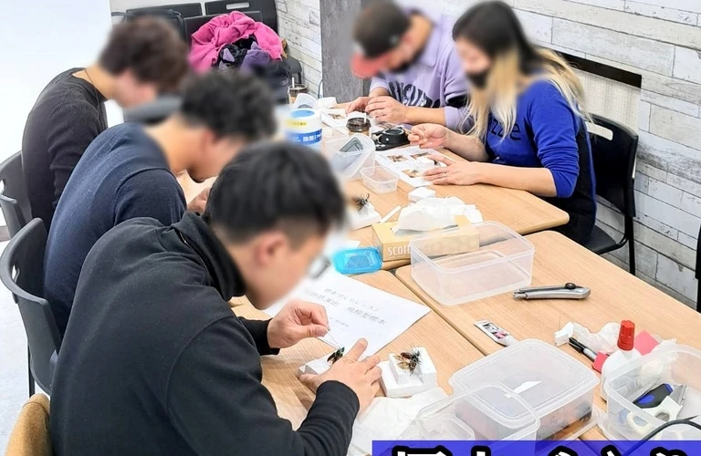 標本づくりを趣味に！老若男女問わず楽しめる教室開催決定！；苔丸インテリア