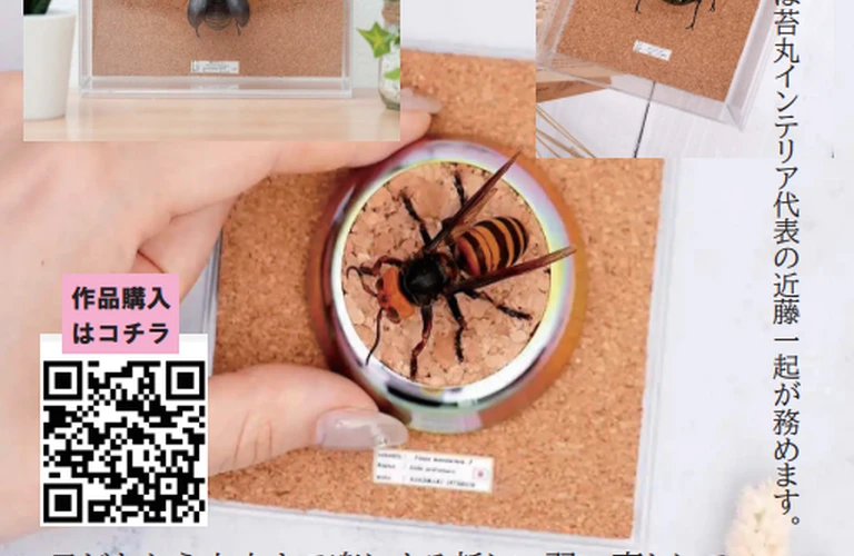 立体標本作成の楽しみを初心者でも簡単に！ 苔丸×miroomアプリ；苔丸インテリア