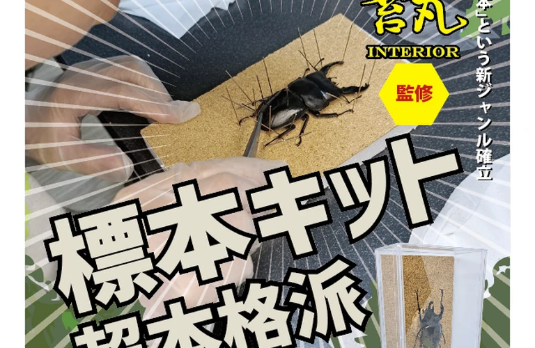 苔丸標本キットがYouTubeで話題！ユーチューバーにも紹介いただきました！！；苔丸インテリア
