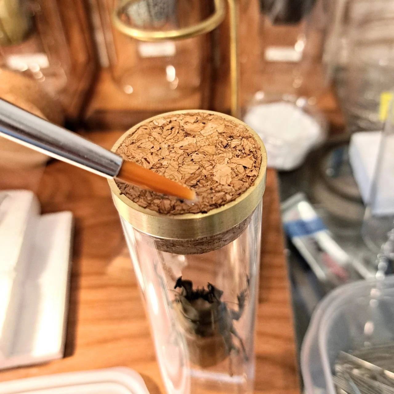 昆虫標本専用の防虫薬品