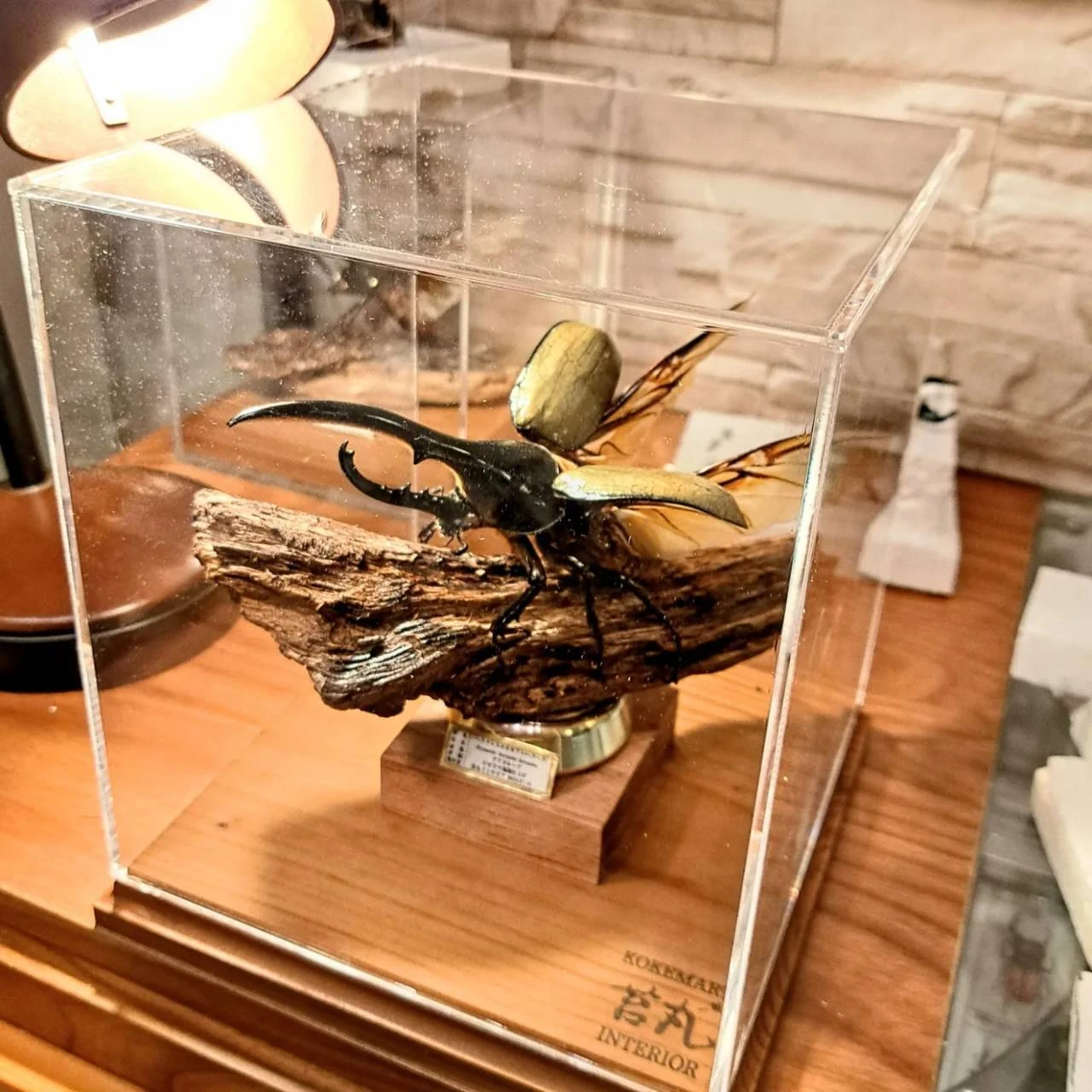 商品ラインナップとその特性