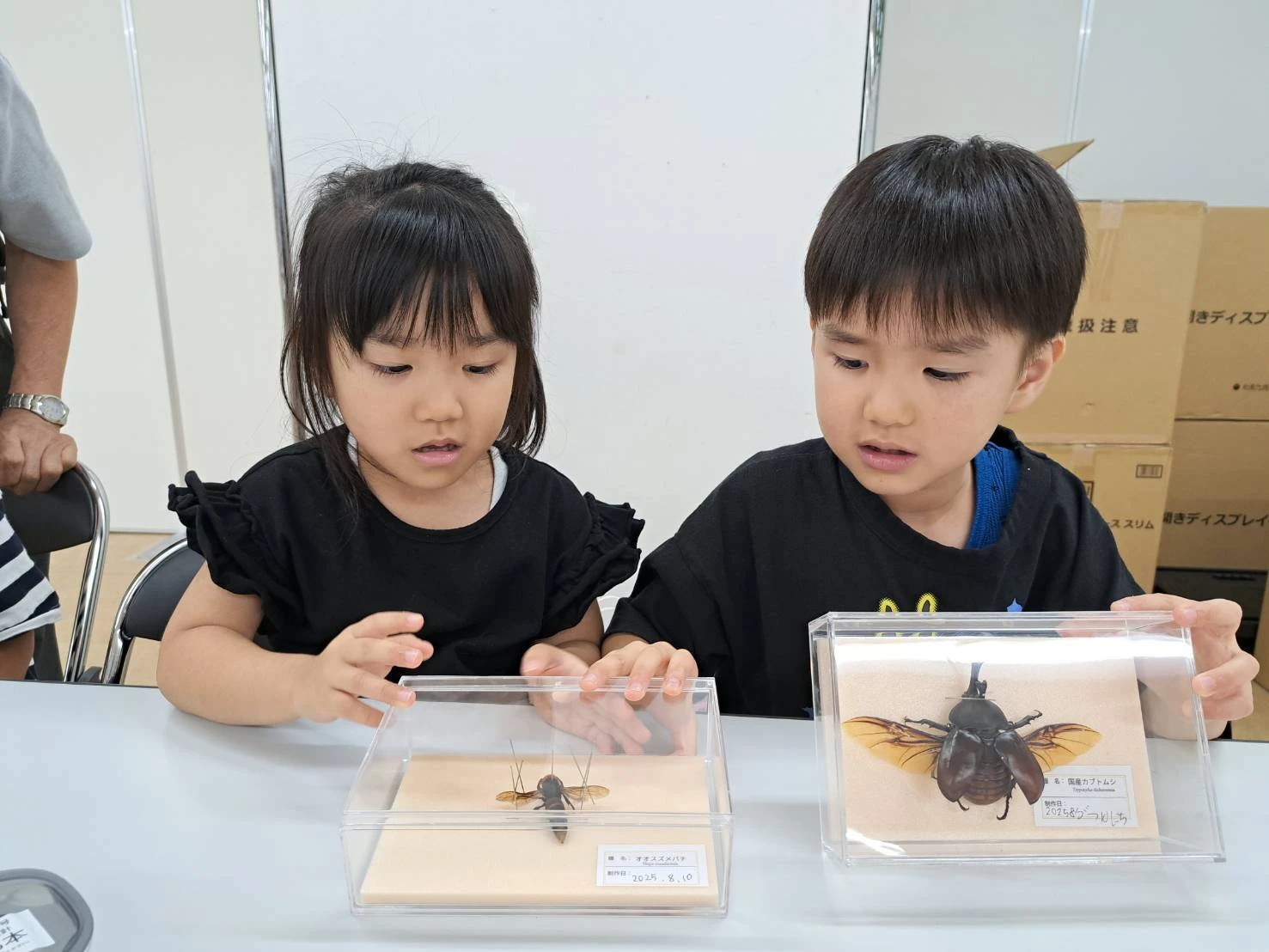 安全性と高品質な素材