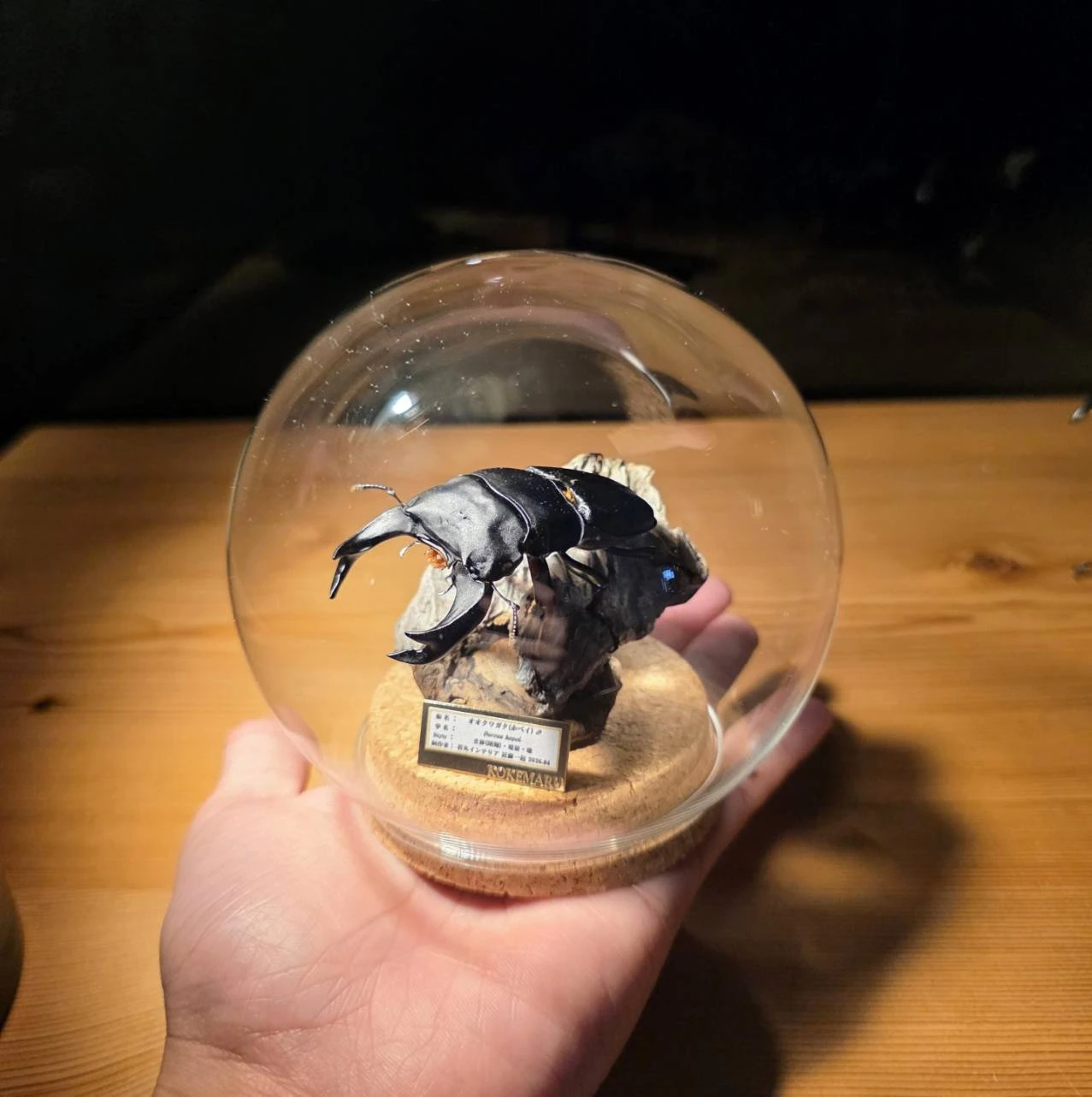 AdobeStock_267069464