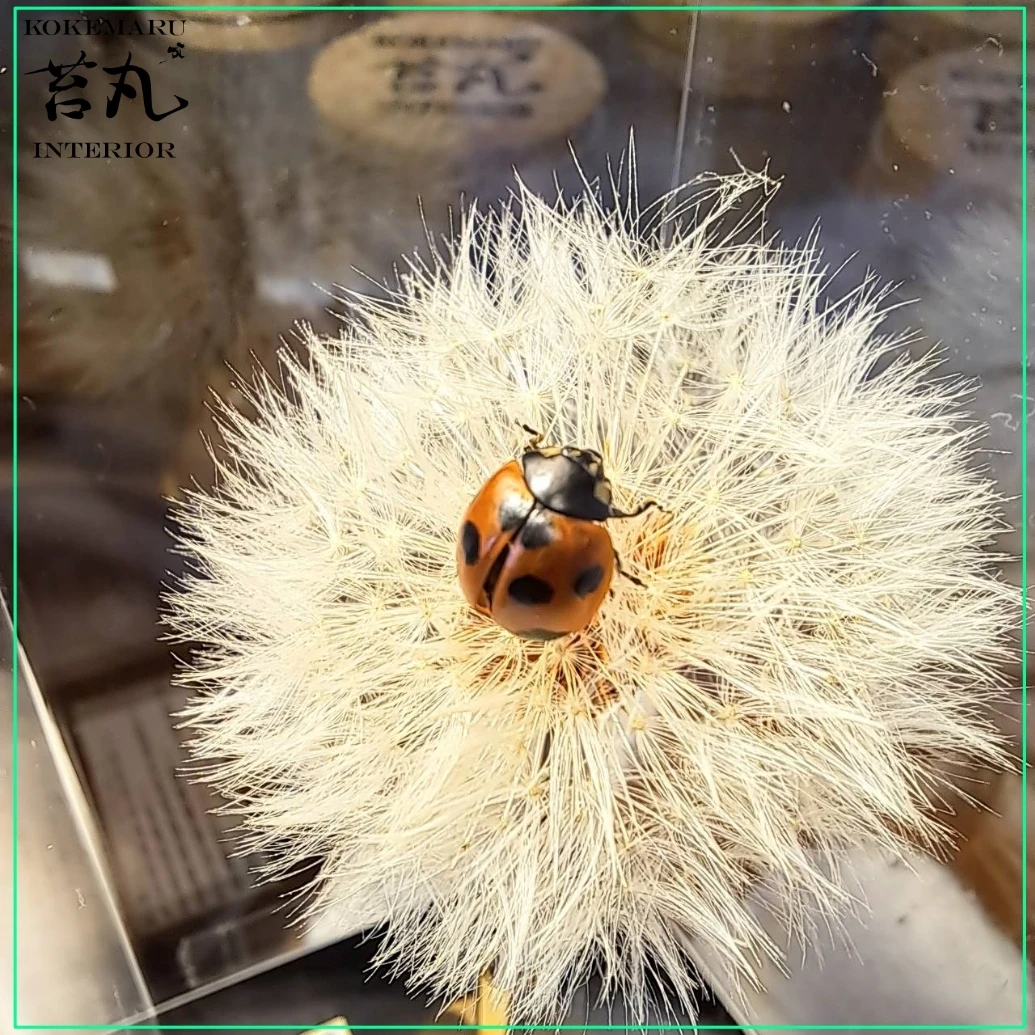 AdobeStock_267069464