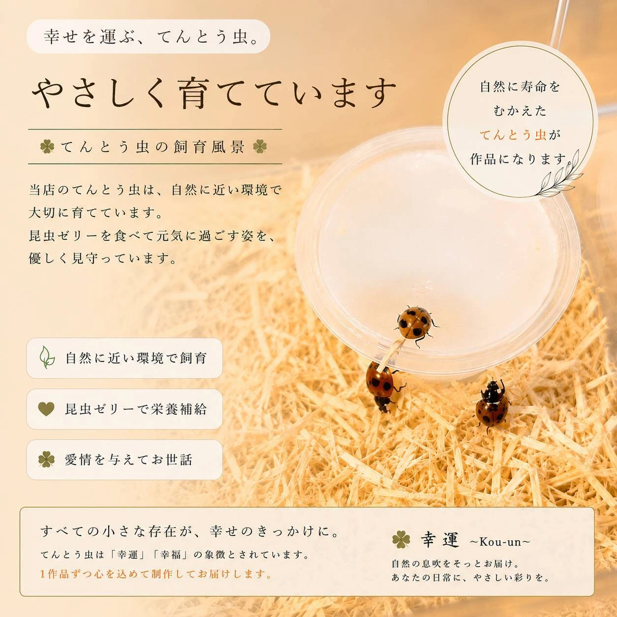 AdobeStock_267069464