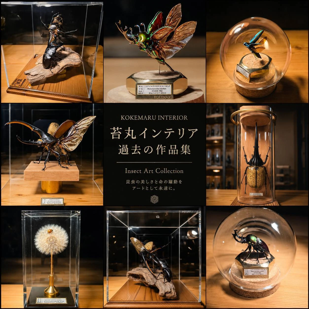 過去の作品集