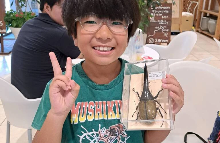 みーとん様確認用 ともトン様 ご確認用 貢(mitsugu) 猫用おもちゃ もち