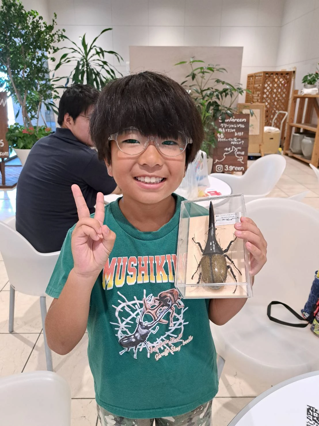 「手に入れよう、あなただけのヘラクレスオオカブト標本！」
