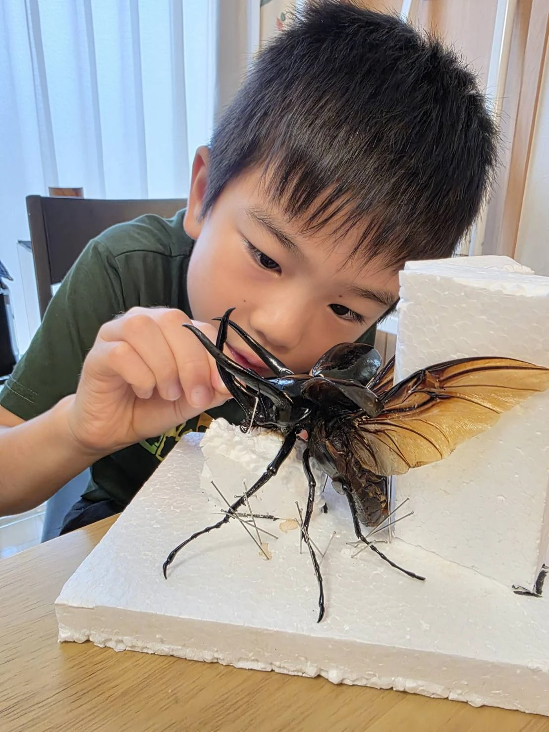 プロの職人から直接指導！