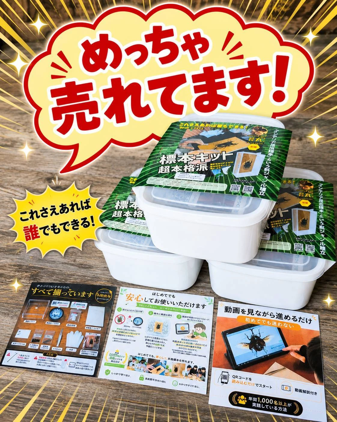 本格派の昆虫標本キットで、あなたの夏の思い出を形にしよう！