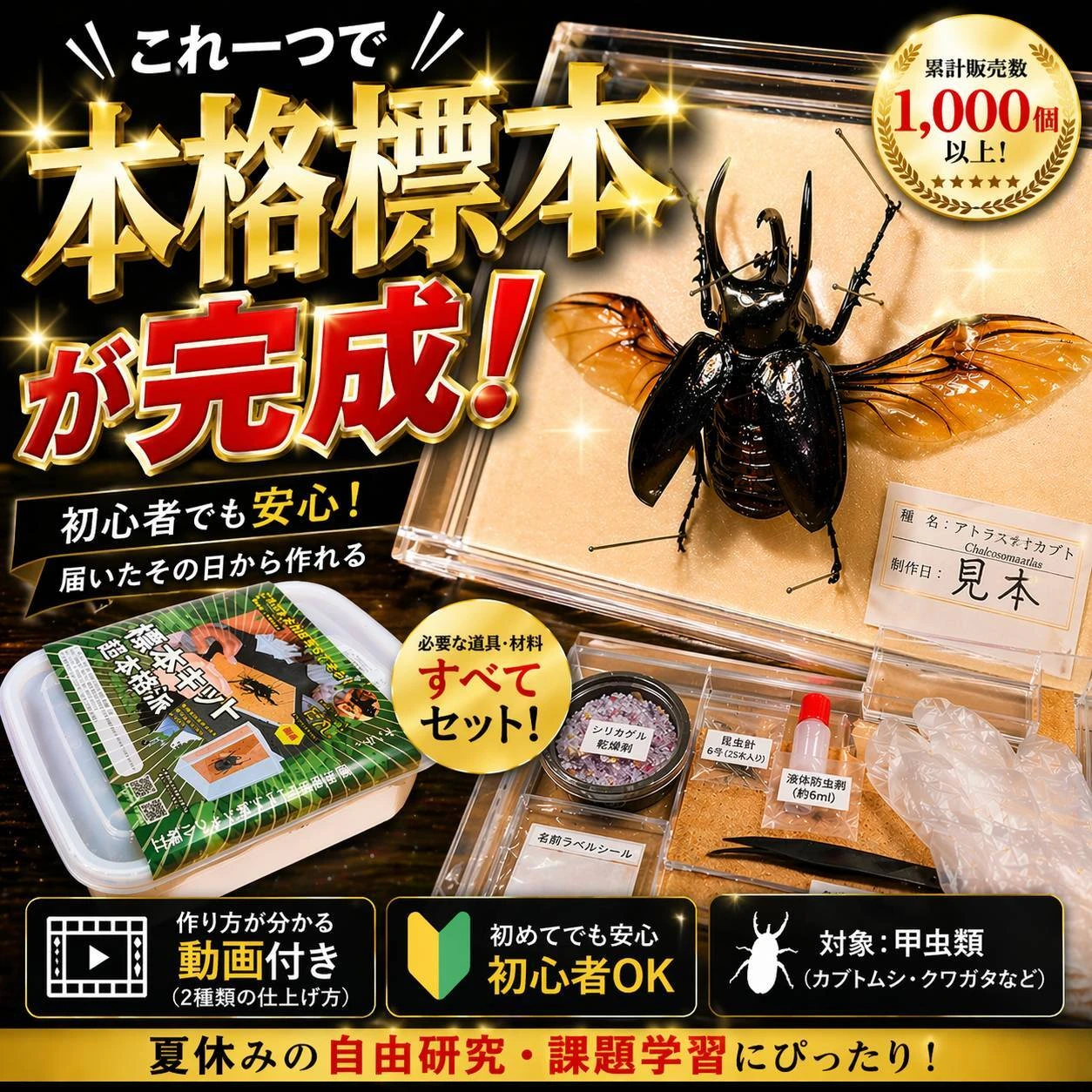 AdobeStock_267069464