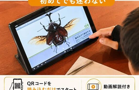 究極の昆虫標本づくりキット -全ての無駄をそぎ落として低価格を実現-；苔丸インテリア