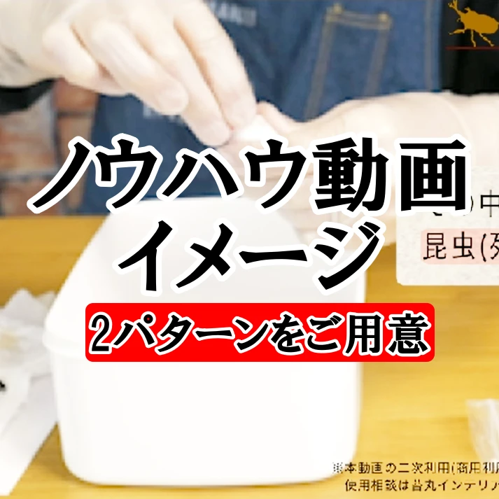 ステップバイステップの製作ガイド
