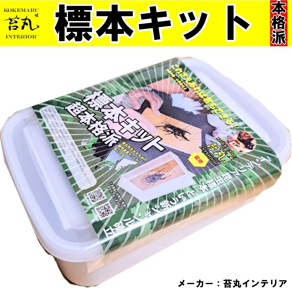 sample-02
