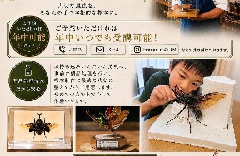【本格的な標本づくり】飼っていた大切な昆虫を、特別な標本に変えてみませんか？；苔丸インテリア