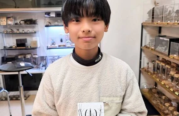 昆虫の魅力を引き出すアート表現(標本づくり)に挑戦できるお店「苔丸-KOKEMARU」；苔丸インテリア