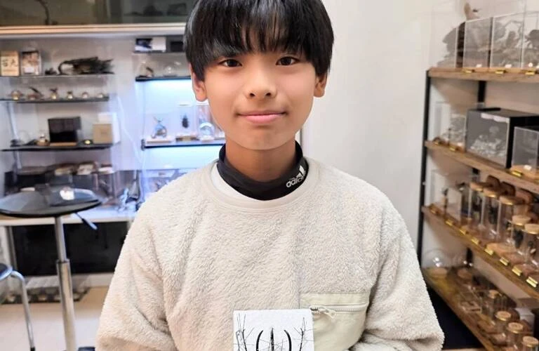 昆虫の魅力を引き出すアート表現(標本づくり)に挑戦できるお店「苔丸-KOKEMARU」；苔丸インテリア