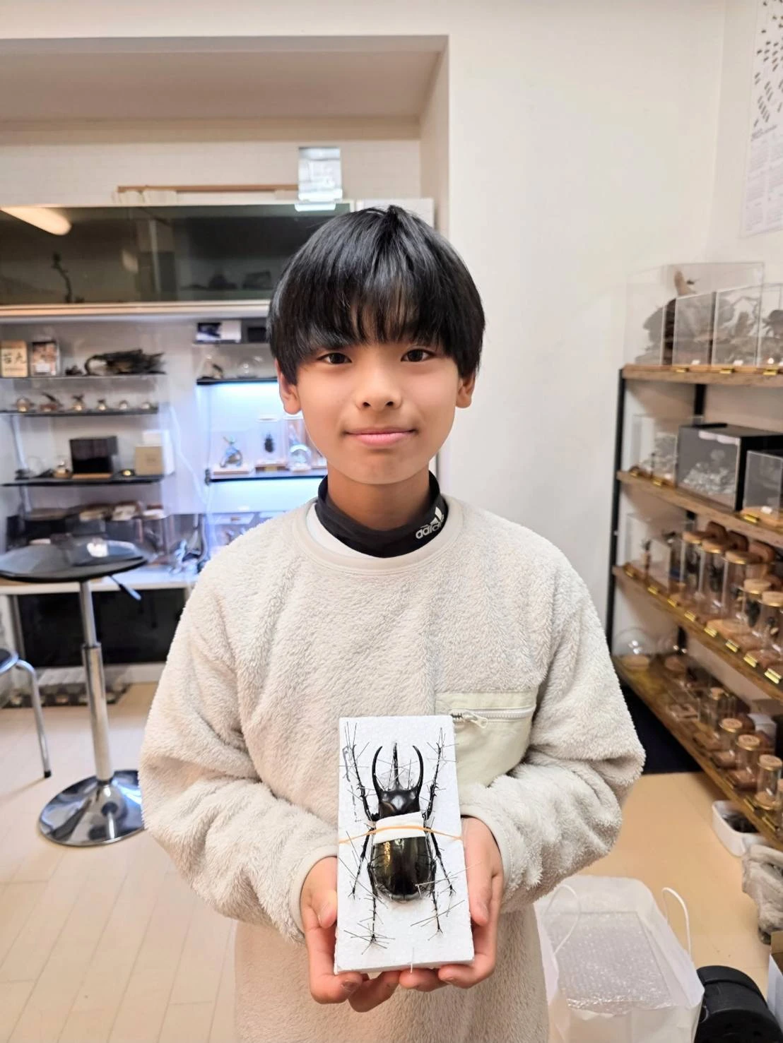 瞬間を切り取る、昆虫の魅力を引き出すアート表現に挑戦！