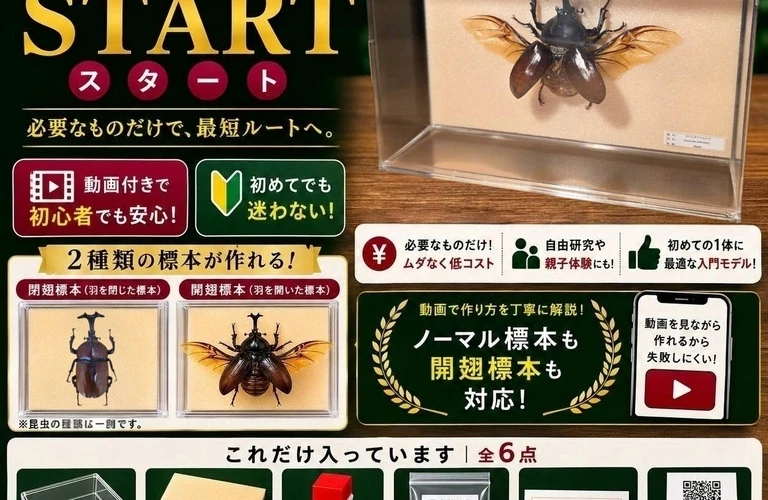 新しい標本キットで、本格的な標本づくりの最短ルートを実現！；苔丸インテリア