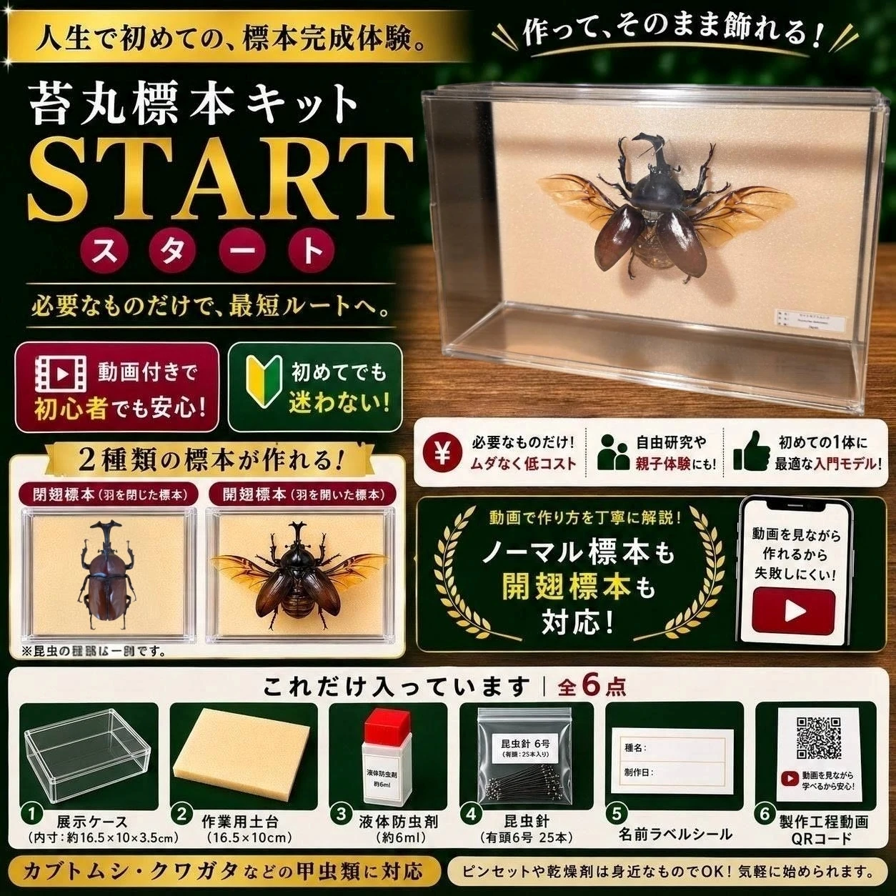 新しい標本キットで、あなたも昆虫観察のプロに！