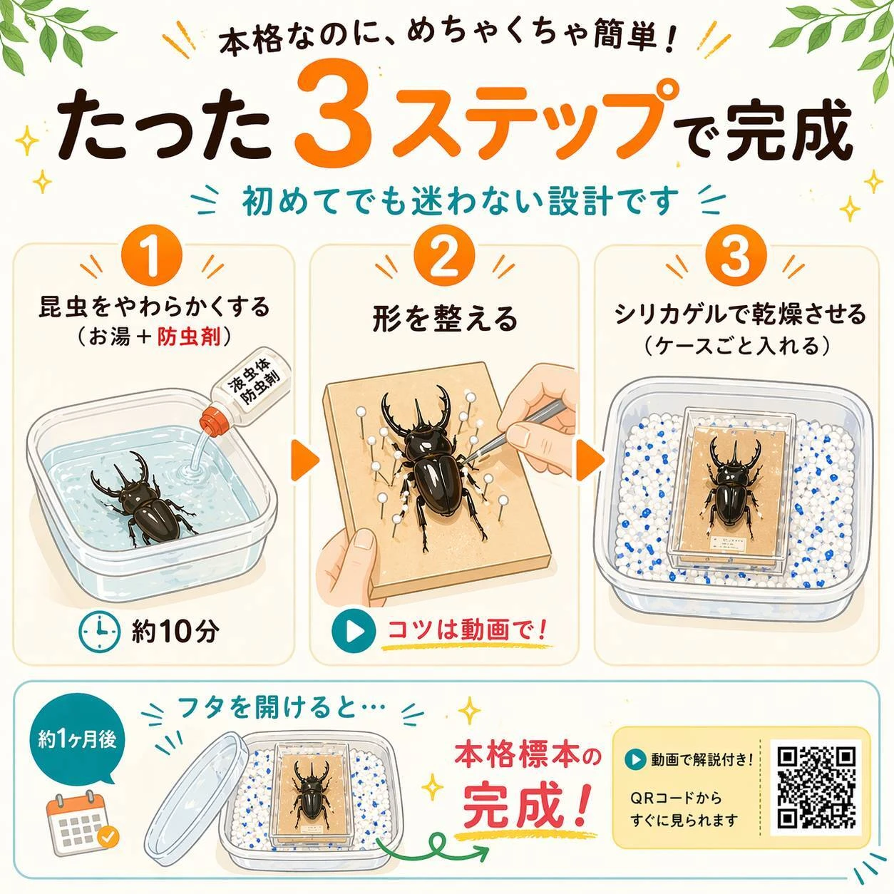 製作プロセス紹介