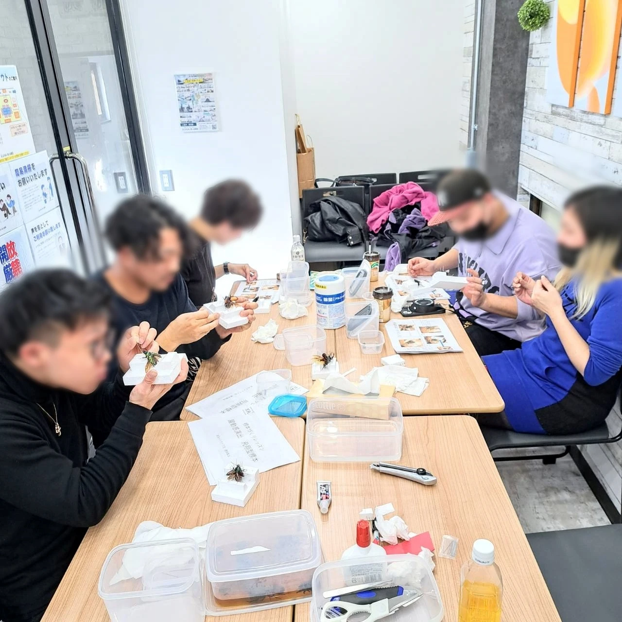 体験する喜びを、昆虫の美しさと共に。