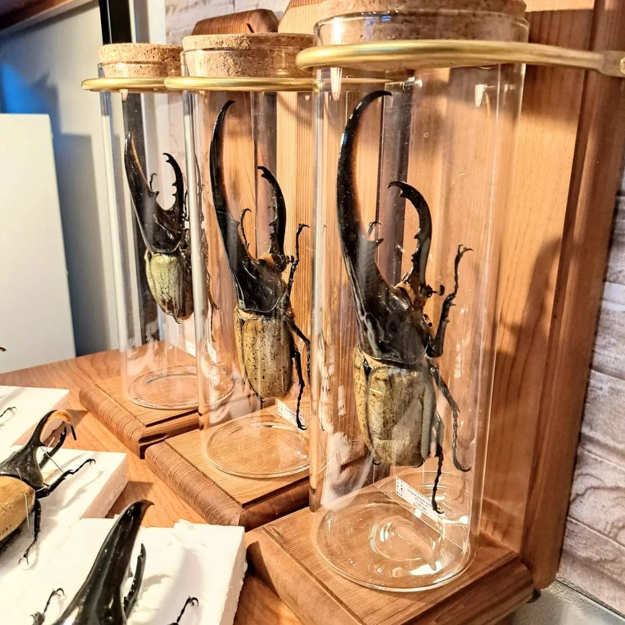 7. ご注文方法