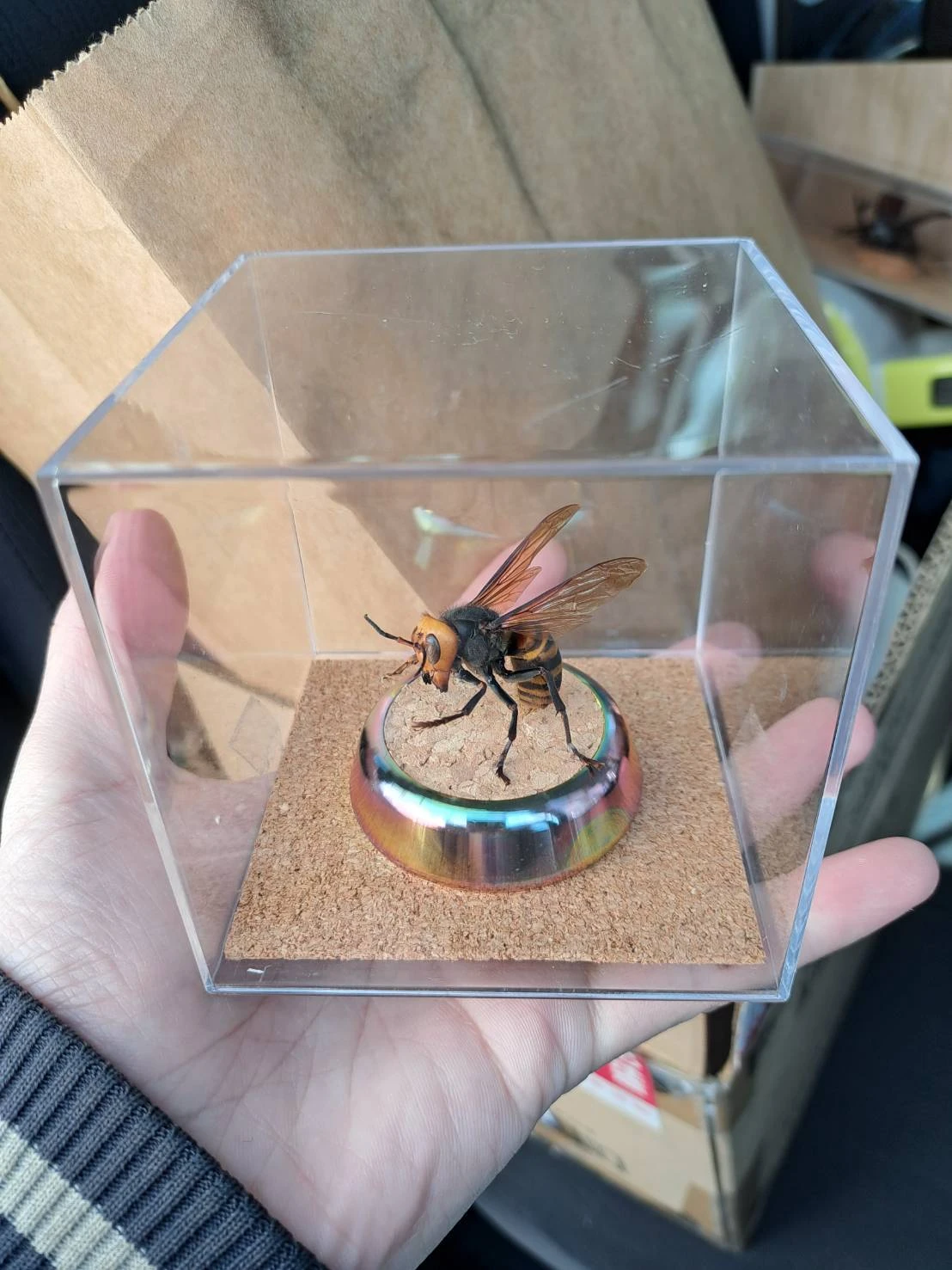 制作手順