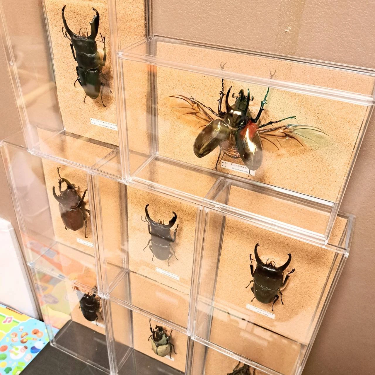 完成例紹介