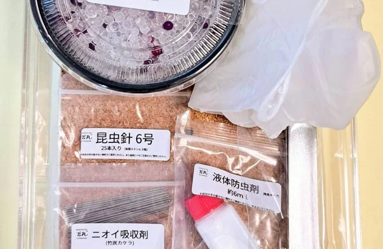 昆虫標本キットで昆虫の美を永遠に。