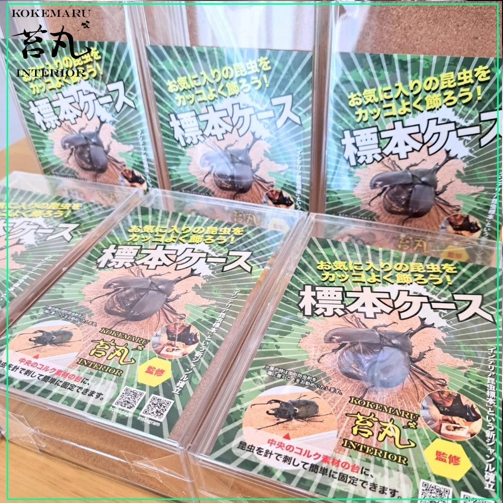 sample-02