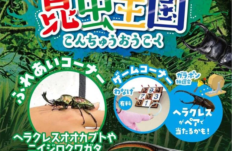 わくわく昆虫王国で標本づくりが体験できる！大分県の大型昆虫イベント　