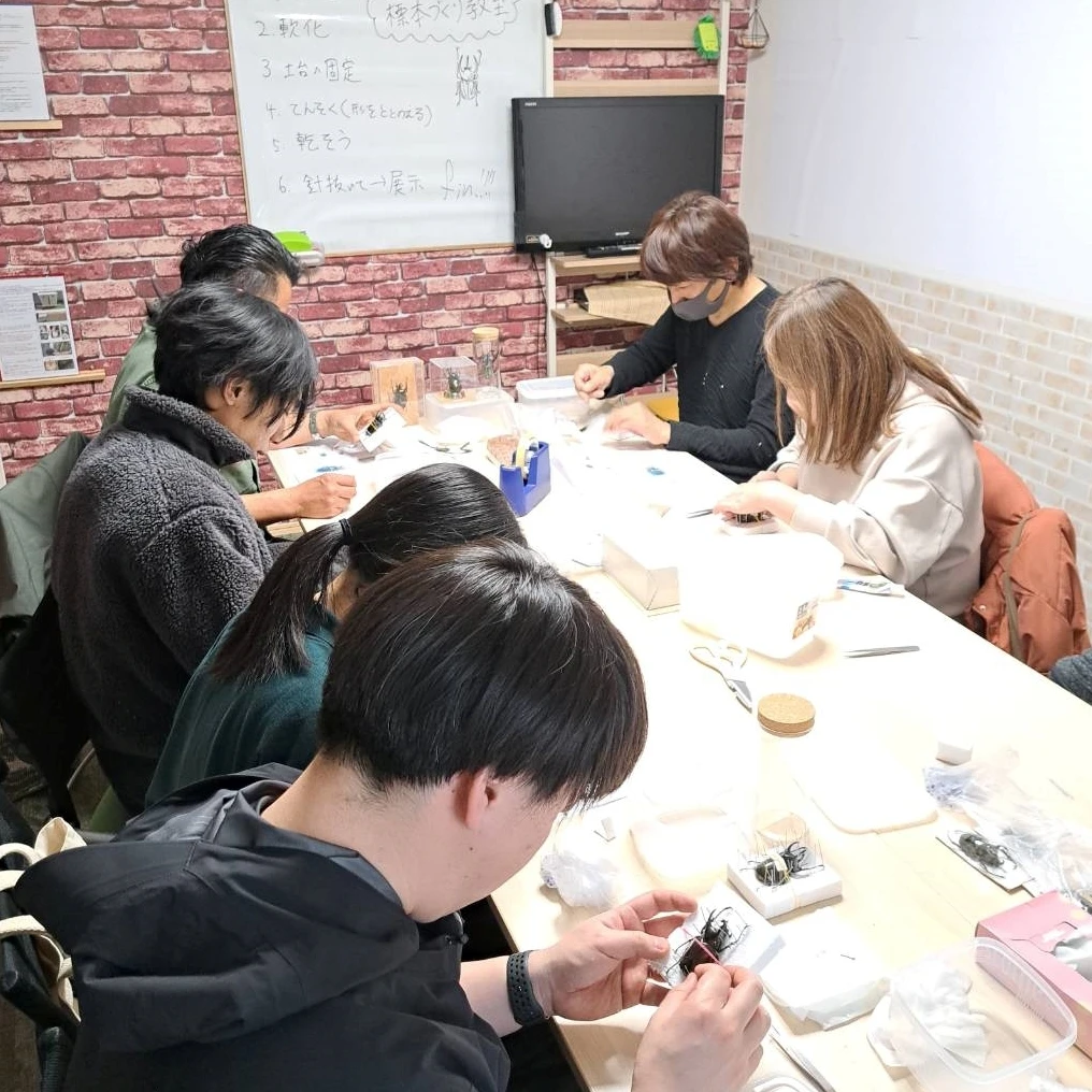 未知の生物と出会おう！関東・東京の子ども向け昆虫教室イベント
