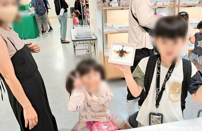 標本教室開催！日本全国で昆虫標本の魅力を広める 苔丸インテリア