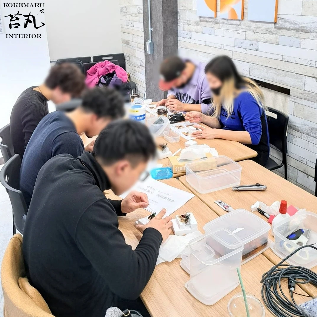 大人も楽しむ昆虫標本づくり教室