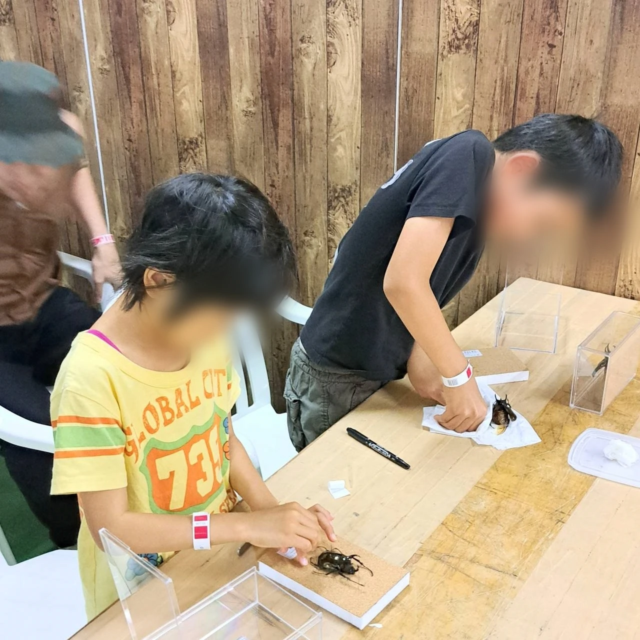 独自の研究テーマを探る