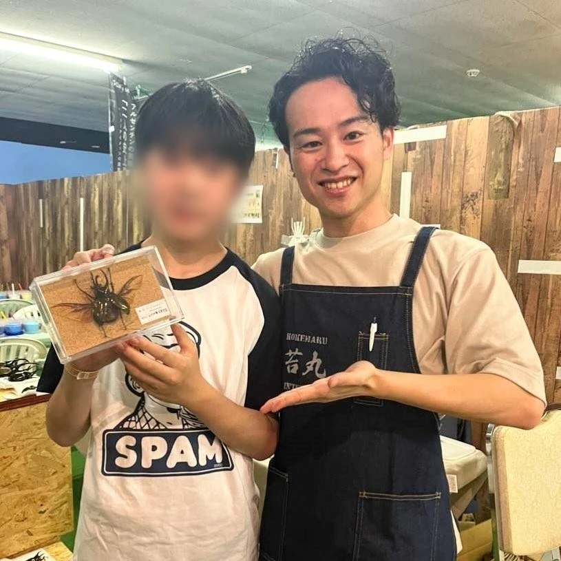 自由研究に役立つ昆虫標本