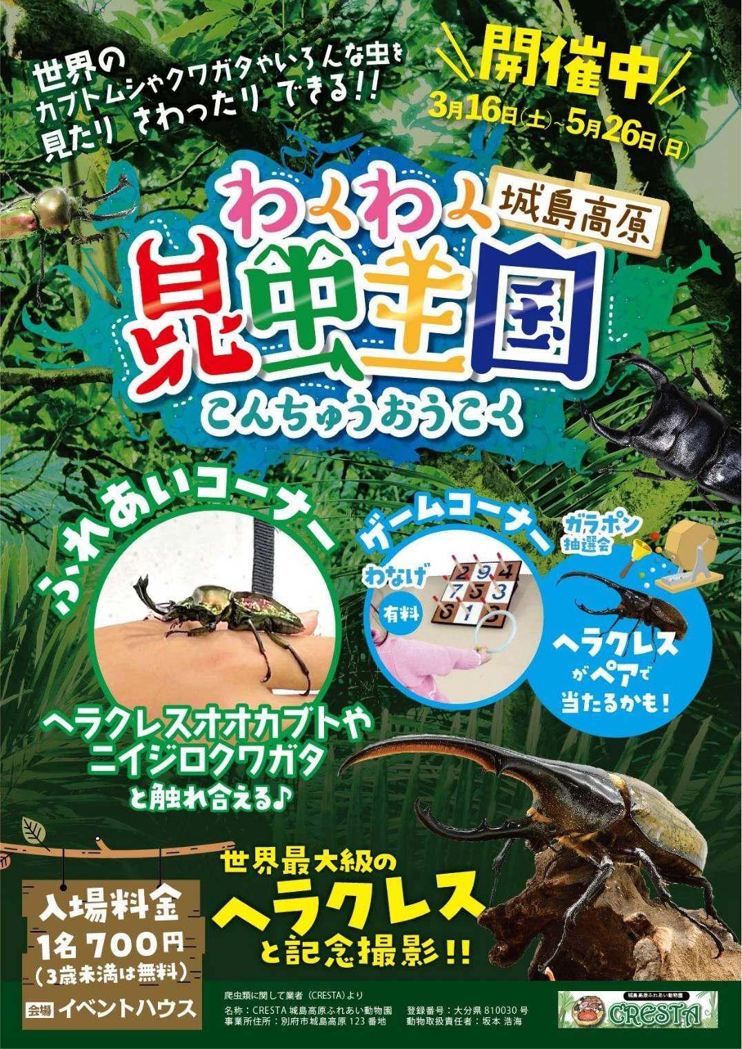 昆虫の魅力